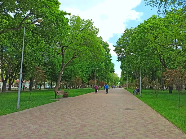 Chernihiv bölgesi-Ukrayna. 09 Mayıs 2020: Güzel gezinti yolu olan güzel bir park ve yüksek yeşil ağaçlar ve çalılar. Şehir parkı. Karantina sırasında şehir parkında karanlık bir sokak