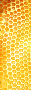 Arı kovanları. Bal peteği dokusu. Bal hücrelerine yakından bak. Bal üretimi. Bal peteğinin doğal balı. Doğal desen