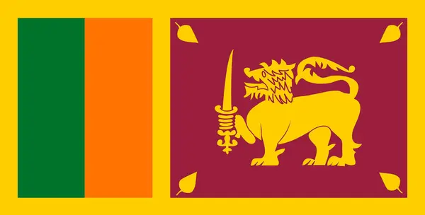 stock image Flag of Sri Lanka. Sri Lanka flag. National symbol of Ceylon on patterned background. Democratic Socialist Republic of Sri Lanka. Asian country. 3D illustration
