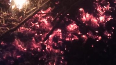 Ateşin içinde odun kömürü. Alev alev yanan kül. Kalorifer ocağında parlak bir şekilde yanan odun. Ateş ve alevler. Brezilya 'da alev alev yanan parlak diller.