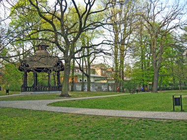 Güzel gezinti yolları, yüksek yeşil ağaçları ve çalıları olan güzel bir park. Şehir parkı. Dinlenmek için şehir merkezi. Şehir parkında yol