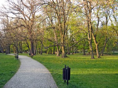 Güzel gezinti yolları, yüksek yeşil ağaçları ve çalıları olan güzel bir park. Şehir parkı. Dinlenmek için şehir merkezi. Şehir parkında yol