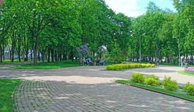 Chernihiv - Ukrayna. 24 Mayıs 2021: İnsanlar şehir parkındaki banklarda oturuyorlar. İnsanlar yaz parkında dinleniyor. İnsanlar büyük ağaçlarla şehir parkında dinleniyor. Şehirdeki yeşil park