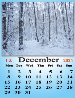 Aralık 2025 için takvimde karlı ormanın fotoğrafı var. İş takvimi. Fotoğraflı takvim. Aylık planlamacı. 2025 yılı Aralık takvimi. Günlük düzenleyici.
