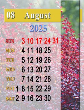 calendar for August 2025. Monday start. Monthly planner. calendar for August with photo of Berberis thunbergii. Calendars for printing and using in office life with Berberis thunbergii leaves clipart