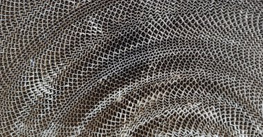 Oluklu kağıt. Eski kıvrımlı kağıdın dokusu. Eski kağıt dokusu. Tasarım ve iç dekorasyon için malzeme. Eski ambalaj malzemelerinin dokusu. Desenli arkaplan