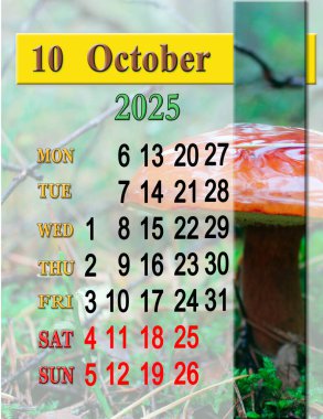 calendar for October 2025 with image of mushroom. October calendar for 2025. Daily organizer. Business organizer. October 2025 calendar. Monday start clipart