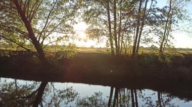 Sonbahar manzara. Kuru yaprakları nehir su yüzeyine düşer. Gölde düşen sarı yapraklar. Su sahne Güz. Su üzerinde sarı sonbahar yaprakları