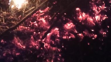 Ateşin içinde odun kömürü. Alev alev yanan kül. Kalorifer ocağında parlak bir şekilde yanan odun. Ateş ve alevler. Brezilya 'da alev alev yanan parlak diller.