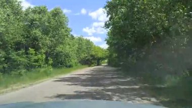 Asfalt yol ve çalılar ile yeşil yol. Boş karayolu. Fazla gelişmiş otoyol. Yol tarafında yoğun bitki örtüsü ile. Doğal yaz yatay, asfalt yol ve yeşil yol