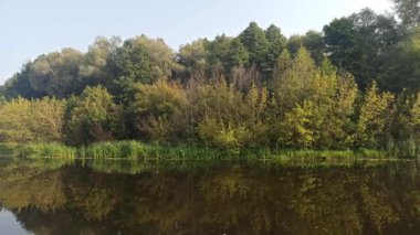 Orman nehrinin su yüzeyi. Orman gölü olan güzel bir manzara. Yazın nehir manzarası. Göl suya yansıyor. Büyük orman göleti