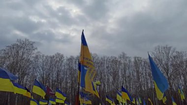 Chernihiv - Ukrayna. 17 Mart 2024: Rus faşist işgalcilere karşı verilen savaşta öldürülen Ukraynalı askerlerin mezarları. Chernihiv 'de ölen askerlerin mezarları. Mezarlarda bayraklar