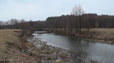 Bulutlu bir havada nehir. Bir sürü ağacı ve kıyılarında yeşil çalıları olan yaz nehri ile güzel bir manzara. Ağaçlarla çevrili yaz nehri. Ormanda akan nehir manzarası