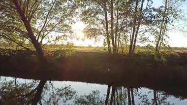 Sonbahar manzarası. Kuru yapraklar nehrin su yüzeyine düşer. Sarı yapraklar göle düşüyor. Sonbaharda su manzarası. Sonbahar sarısı yaprakları suyun üzerinde. Sakin nehrin kıyısında altın sonbahar. Sonbahar manzarası
