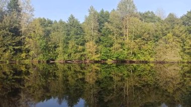 Doğa manzarası. Güz Ormanı Gölü. Orman Gölü 'nde sonbahar. Sakin su yüzeyine yansıyan renkli ağaçlar. Gölü olan bir sonbahar parkı. Mevsime özel. Ahşap nehri ile sonbahar manzarası