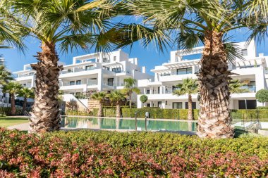 Palmiye ağaçları ve yüzme havuzuyla çevrili lüks Akdeniz tatil evleri.