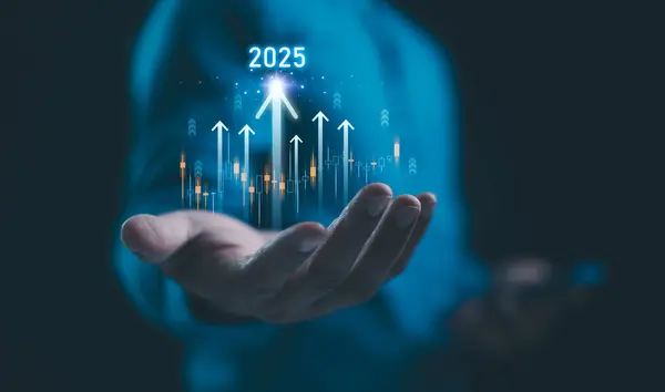 2024 'ten 2025' e kadar iş büyümesi stratejik yatırım sermayesi, başarı hedefi, borsa. Şirket kapsamlı plan bütçesi, yıllık trend. 2024 