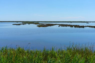 İtalya 'nın Venedik eyaletindeki Sile nehrinin bisiklet yolu boyunca yaz mevsiminde manzara