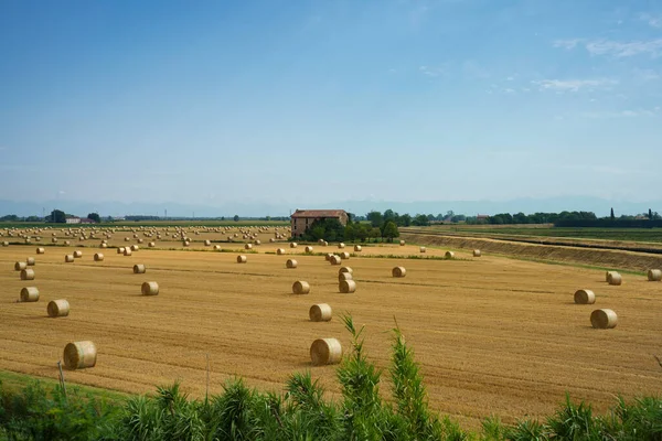 Landelijk Landschap Nabij Caorle Provincie Venetië Veneto Italië Zomer — Stockfoto