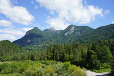 Ampezzo yakınlarındaki dağ manzarası, Friuli-Venezia Giulia, İtalya, Passo Pura yolu boyunca yazın