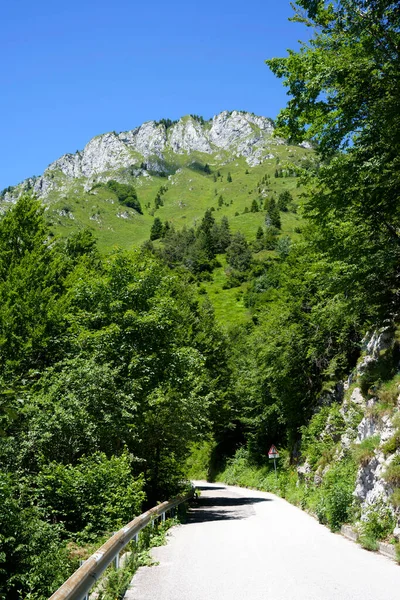 Krajobraz Górski Pobliżu Ampezzo Friuli Wenecja Julijska Włochy Wzdłuż Drogi — Zdjęcie stockowe