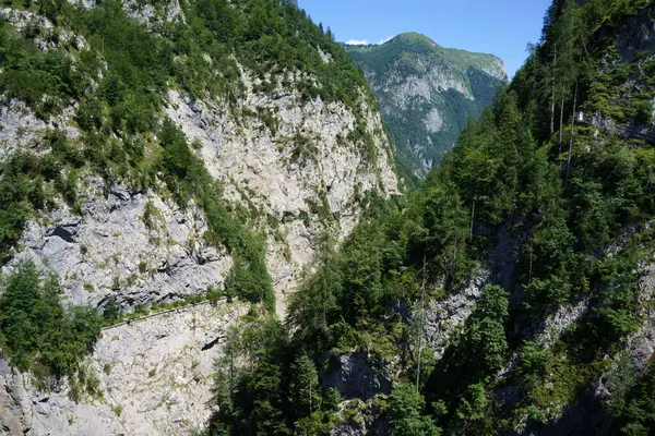 Berglandschap Bij Sauris Friuli Venezia Giulia Italië Zomer — Stockfoto