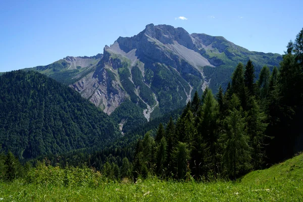 Ορεινό Τοπίο Κοντά Στο Sauris Friuli Venezia Giulia Ιταλία Καλοκαίρι — Φωτογραφία Αρχείου