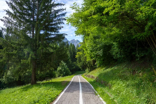 夏のイタリア ヴェネト州ベルーノ州のピエーヴ カドーレの山の風景 自転車道 — ストック写真