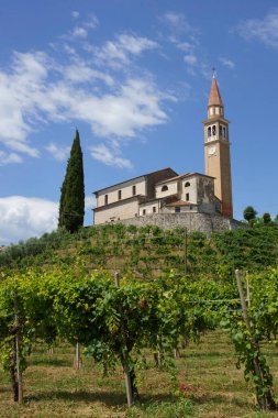 Yaz mevsiminde İtalya 'nın Veneto kentindeki Treviso ilindeki Prosecco e Conegliano Şarapları yolunda bulunan üzüm bağları. Unesco Dünya Mirası Sitesi