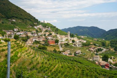 Yaz mevsiminde İtalya 'nın Veneto kentindeki Treviso ilindeki Prosecco e Conegliano Şarapları yolunda bulunan üzüm bağları. Unesco Dünya Mirası Sitesi