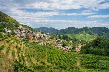 Yaz mevsiminde İtalya 'nın Veneto kentindeki Treviso ilindeki Prosecco e Conegliano Şarapları yolunda bulunan üzüm bağları. Unesco Dünya Mirası Sitesi