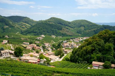 Yaz mevsiminde İtalya 'nın Veneto kentindeki Treviso ilindeki Prosecco e Conegliano Şarapları yolunda bulunan üzüm bağları. Unesco Dünya Mirası Sitesi