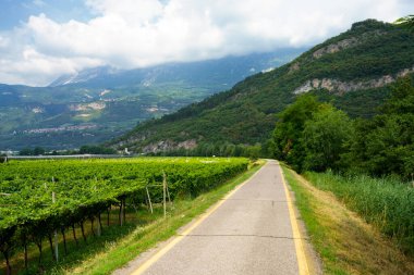 Trento, Trentino-Alto Adige, İtalya yakınlarındaki Adige nehrinin bisiklet yolu boyunca yaz manzarası