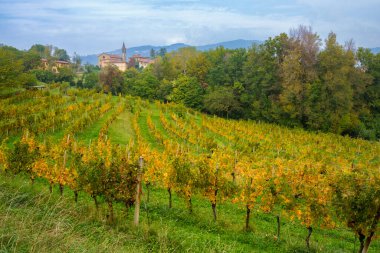 Landscape in the natural park of Curone and Montevecchia, Lecco province, Brianza, Lombardy, Italy, in October