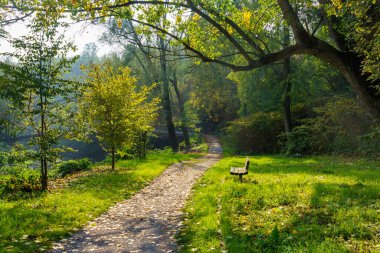 Path in the park of Lambro valley, Monza Brianza province, Lombardy, Italy, in October