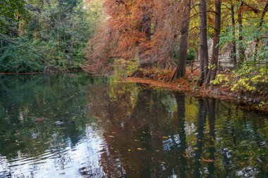 Autumn in the Montanelli park at Milan, Lombardy, Italy
