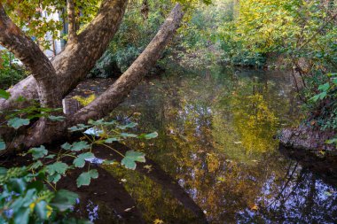 Autumn in the Montanelli park at Milan, Lombardy, Italy
