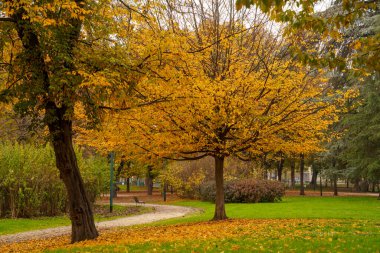 Milan, Lombardy, İtalya: Kasım ayında Sempione Parkı