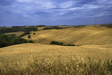 İtalya, Toskana, Siena eyaletinin Ascaniano yakınlarındaki Val d Orcia 'da yaz manzarası
