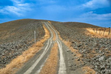 İtalya, Toskana, Siena eyaletinin Ascaniano yakınlarındaki Val d Orcia 'da yaz manzarası