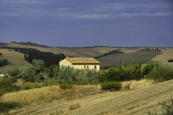 Paisagem Verão Val Orcia Perto Asciano Província Siena Toscana Itália — Fotografia de Stock