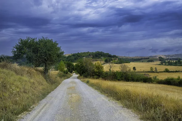 stock image Summer landscape in Val d Orcia near Asciano, Siena province, Tuscany, Italy