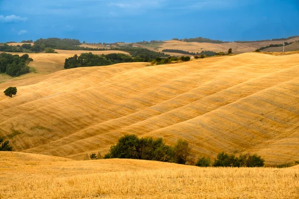 Paesaggio Estivo Val Orcia Vicino Asciano Provincia Siena Toscana Italia — Foto Stock