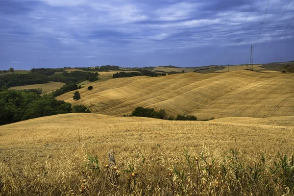 Paesaggio Estivo Val Orcia Vicino Asciano Provincia Siena Toscana Italia — Foto Stock