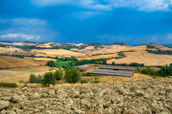 Sommarlandskap Val Orcia Nära Asciano Sienaprovinsen Toscana Italien — Stockfoto