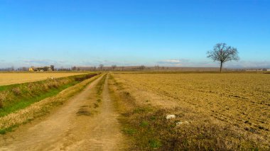 Pavia 'da kışın Certosa' dan Bereguardo, Lombardy, İtalya 'ya kadar kırsal alan