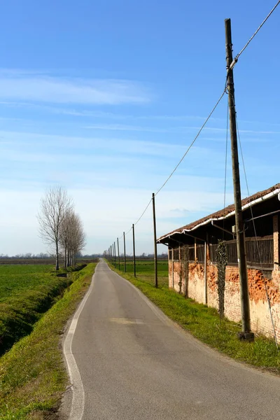 意大利伦巴第帕维亚省Bereguardo的Naviglio Bereguardo自行车道 冬季乡村景观 — 图库照片