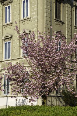 Şehir yaşamı, Milan 'daki modern park, Lombardy, İtalya, Üç Kuleli