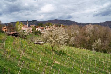 Nisan ayında, İtalya 'nın Lombardiya eyaletinin Curone ve Montevecchia ilçelerine bağlı Brianza parkındaki kırsal alan.