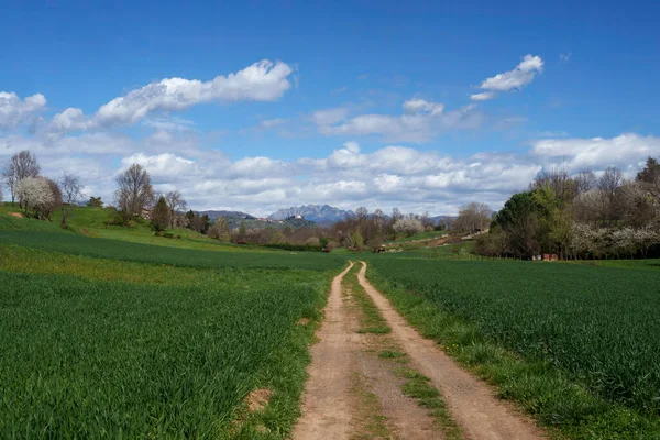 意大利伦巴第蒙扎省Usmate和Lomagna附近Brianza的农村景观 — 图库照片